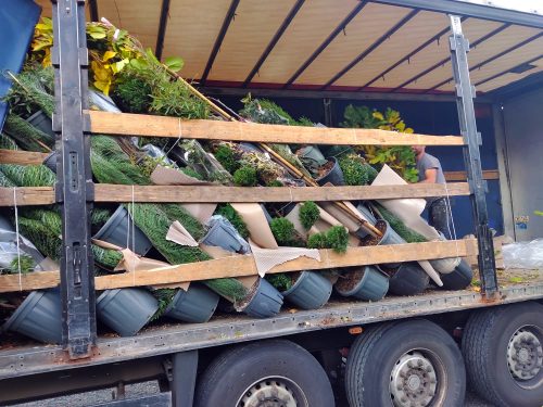 trasporto merci su strada fiori e piante